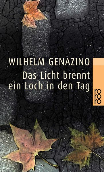 Cover von Das Licht brennt ein Loch in den Tag