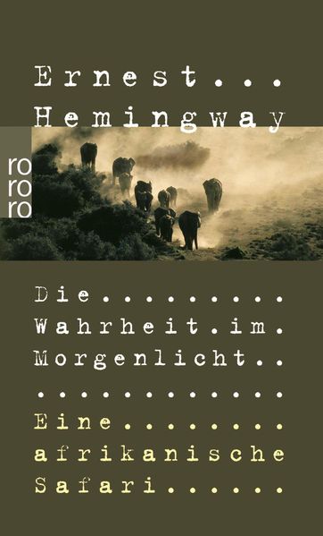 Cover von Die Wahrheit im Morgenlicht