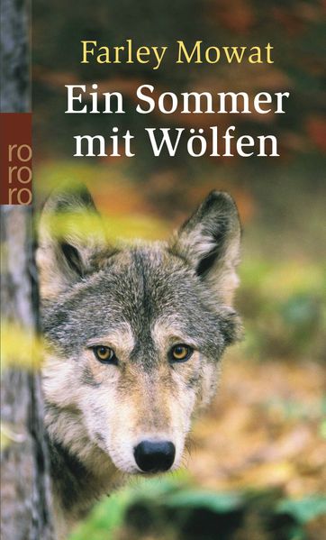 Cover von Ein Sommer mit Wölfen