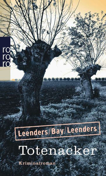 Cover von Totenacker