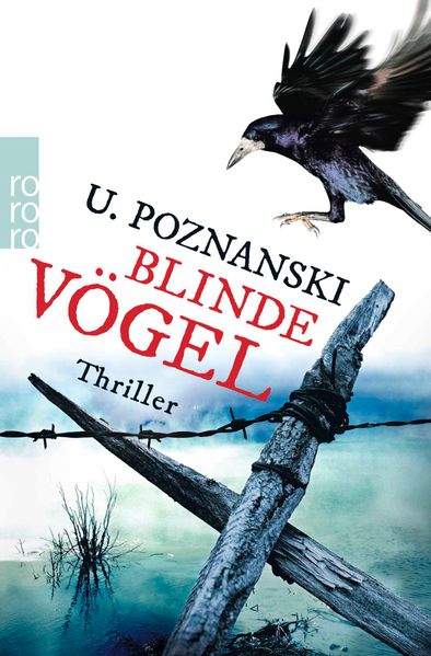 Cover von Blinde Vögel