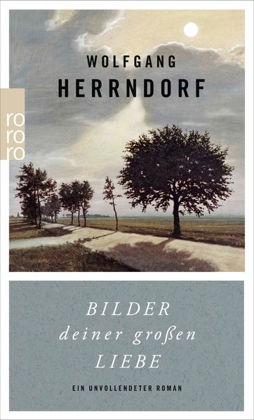 Cover von Bilder deiner großen Liebe