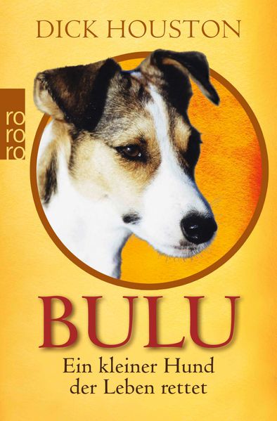 Cover von Bulu