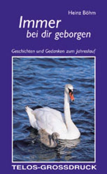 Cover von Immer bei dir geborgen