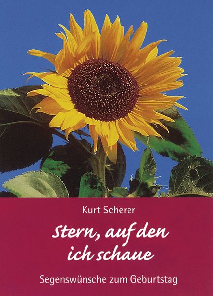 Cover von Stern, auf den ich schaue
