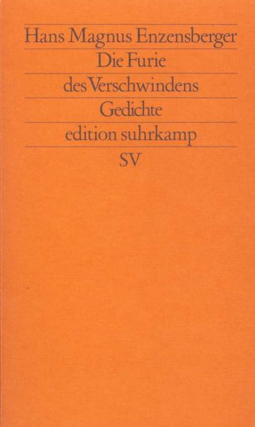 Cover von Die Furie des Verschwindens