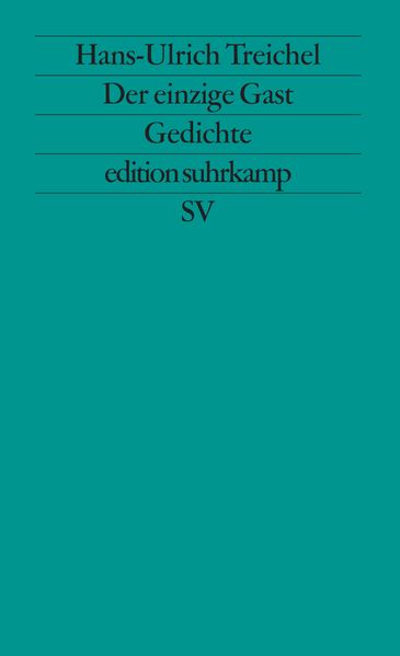 Cover von Der einzige Gast