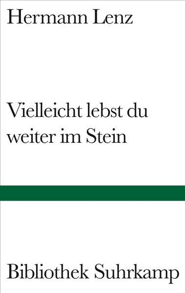 Cover von Vielleicht lebst du weiter im Stein