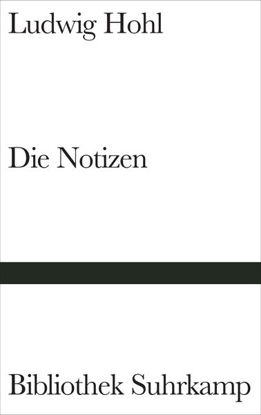 Cover von Die Notizen oder Von der unvoreiligen Versöhnung