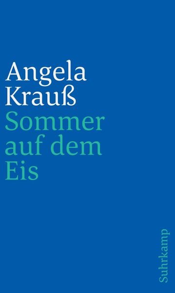 Cover von Sommer auf dem Eis