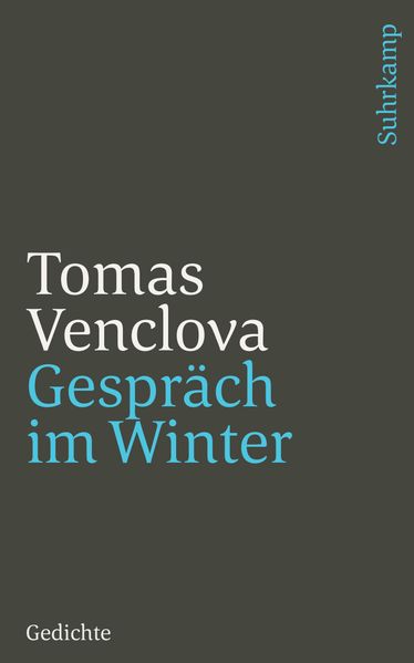 Cover von Gespräch im Winter