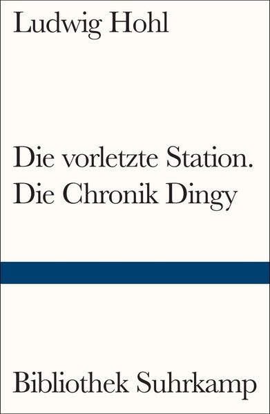 Cover von Die vorletzte Station – die Chronik Dingy