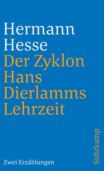 Cover von Der Zyklon und Hans Dierlamms Lehrzeit