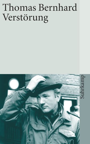 Cover von Verstörung