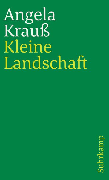 Cover von Kleine Landschaft