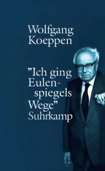 Cover von Ich ging Eulenspiegels Wege
