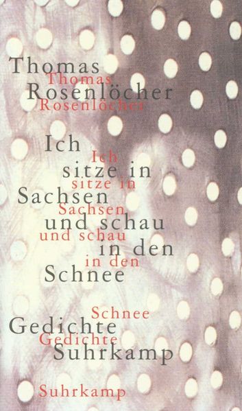 Cover von Ich sitze in Sachsen und schau in den Schnee