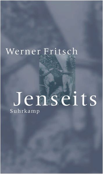 Cover von Jenseits