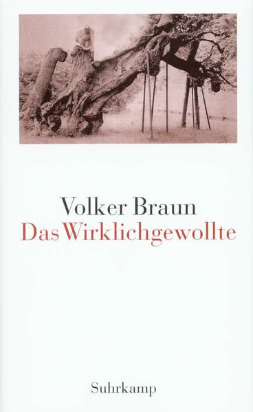 Cover von Das Wirklichgewollte