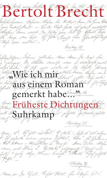 Cover von »Wie ich mir aus einem Roman gemerkt habe …«
