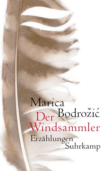Cover von Der Windsammler