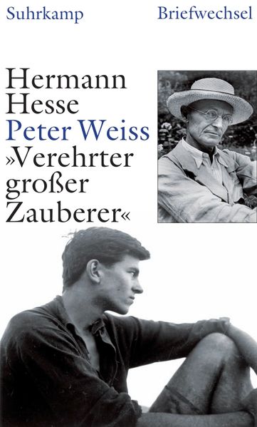 Cover von »Verehrter großer Zauberer«