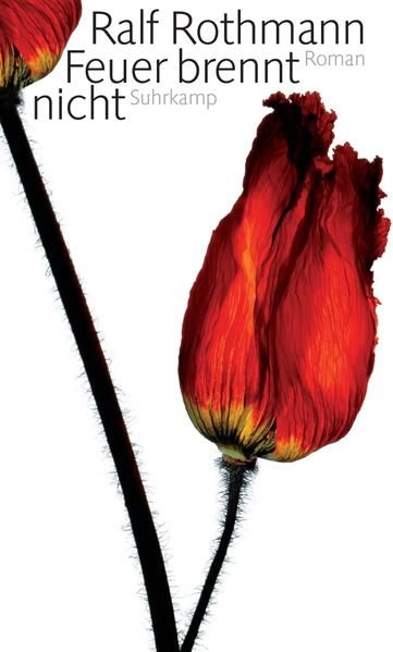 Cover von Feuer brennt nicht
