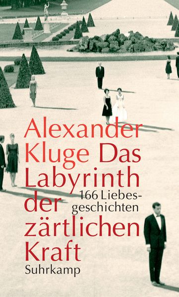 Cover von Das Labyrinth der zärtlichen Kraft