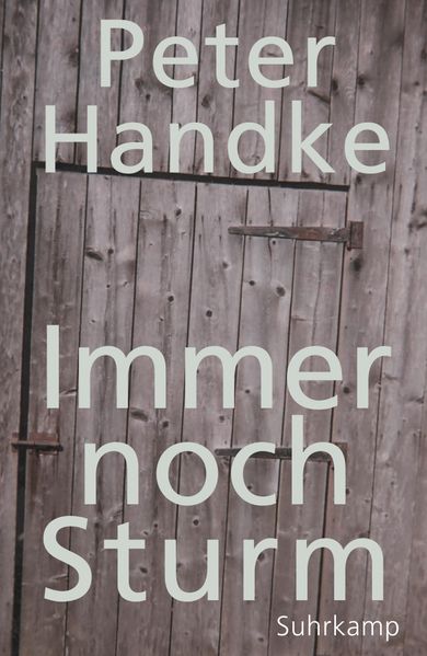 Cover von Immer noch Sturm