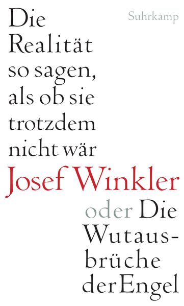 Cover von Die Realität so sagen, als ob sie trotzdem nicht wär oder Die Wutausbrüche der Engel