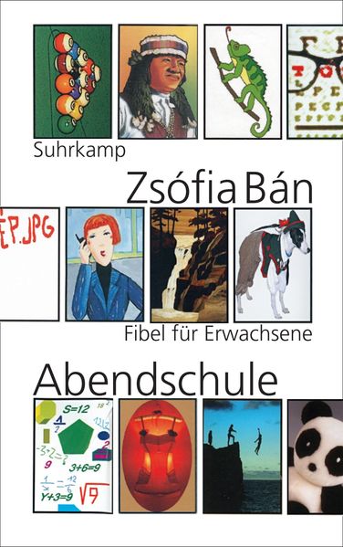 Cover von Abendschule