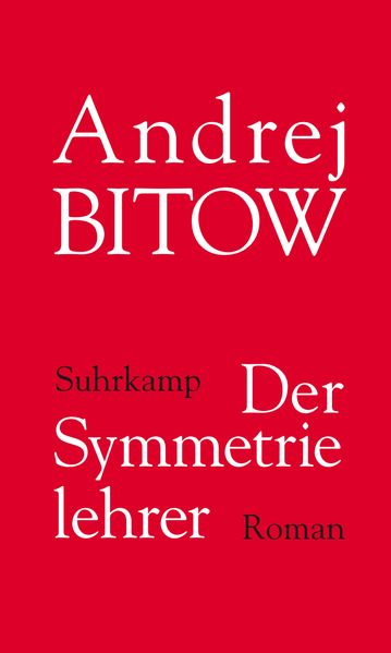 Cover von Der Symmetrielehrer