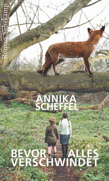 Cover von Bevor alles verschwindet