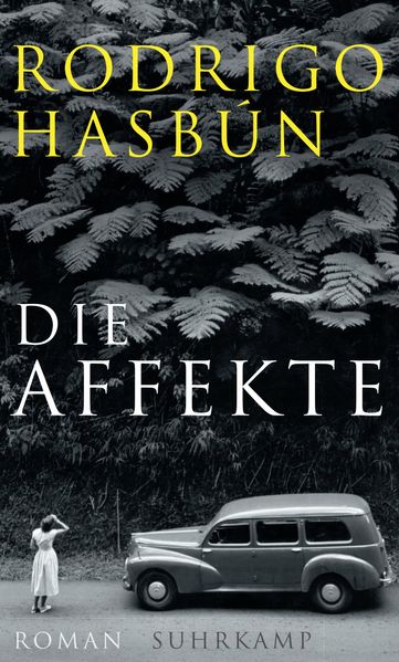 Cover von Die Affekte