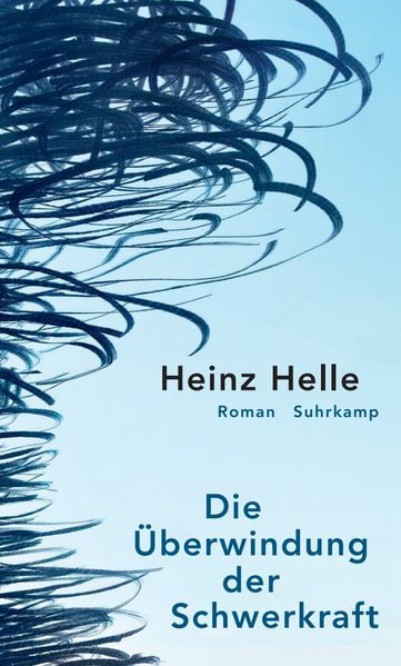 Cover von Die Überwindung der Schwerkraft