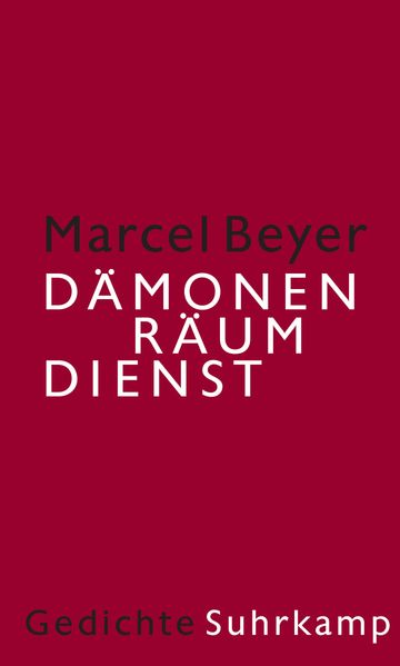 Cover von Dämonenräumdienst