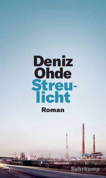 Cover von Streulicht