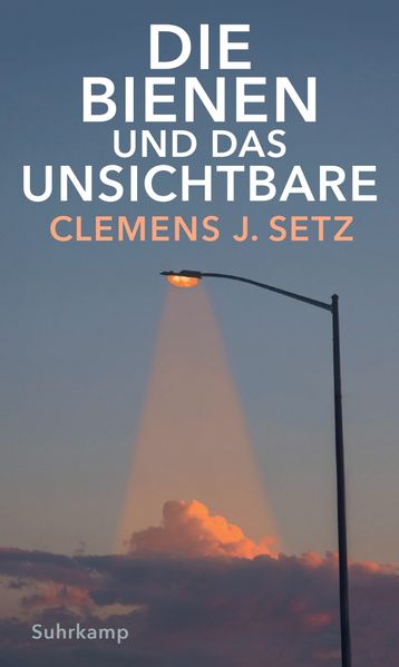 Cover von Die Bienen und das Unsichtbare