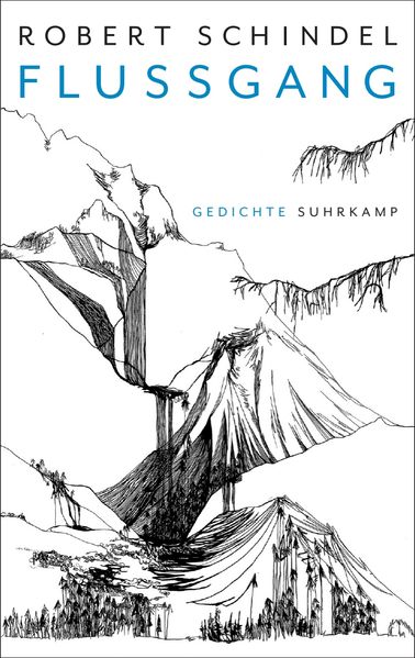 Cover von Flussgang