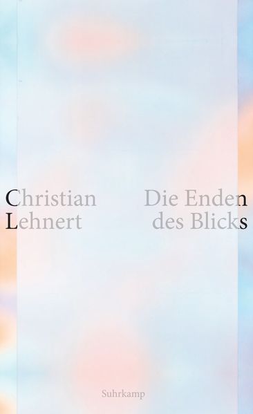 Cover von Die Enden des Blicks