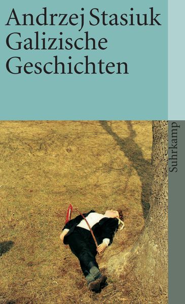 Cover von Galizische Geschichten