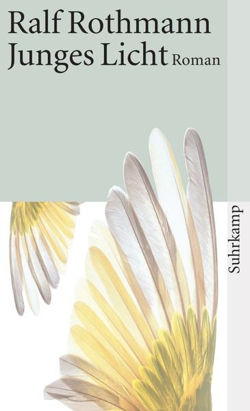 Cover von Junges Licht