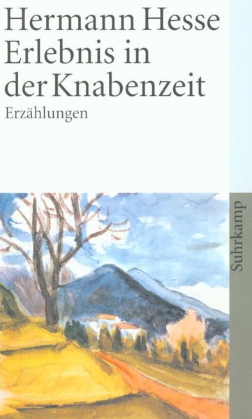 Cover von Erlebnis in der Knabenzeit