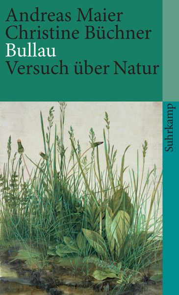 Cover von Bullau