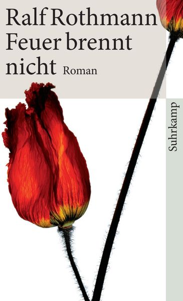 Cover von Feuer brennt nicht