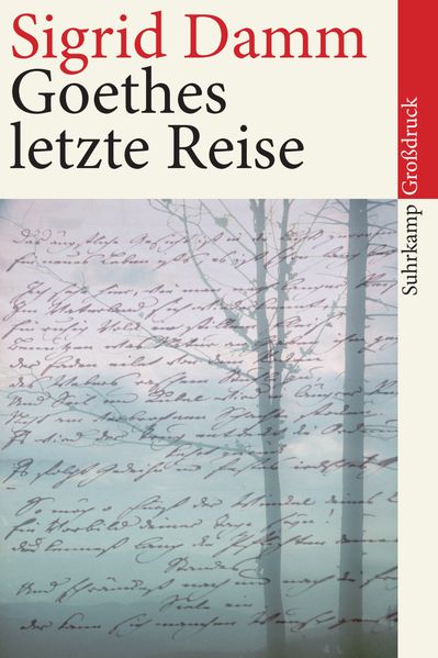 Cover von Goethes letzte Reise