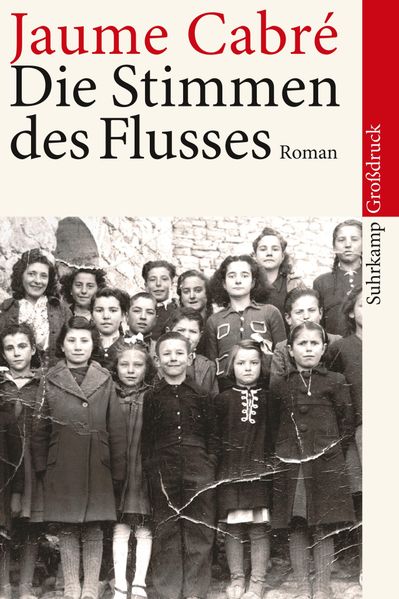 Cover von Die Stimmen des Flusses