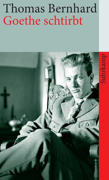 Cover von Goethe schtirbt