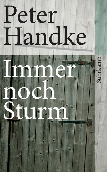 Cover von Immer noch Sturm