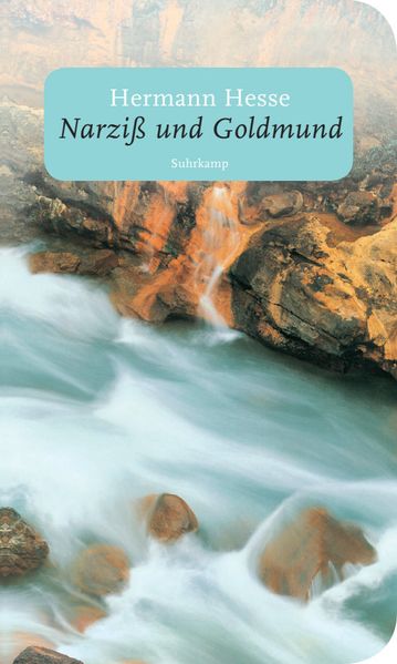 Cover von Narziß und Goldmund